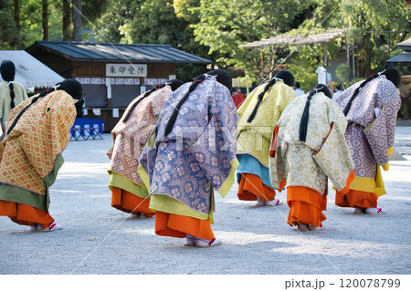 葵祭2023 120078799