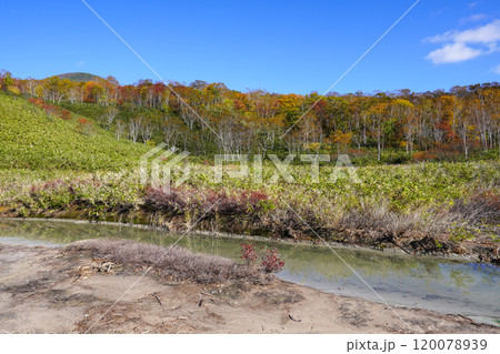 ニセコ湯本温泉・大湯沼のとなりにある水たまり？（蘭越町） 120078939