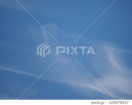 青空に遊ぶ真っ白い雲たち 120079037