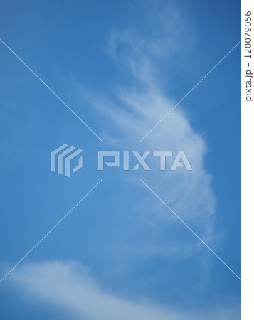 青空に遊ぶ真っ白い雲たち 120079056