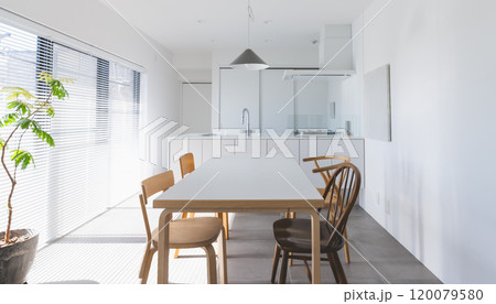 Image photo 120079580