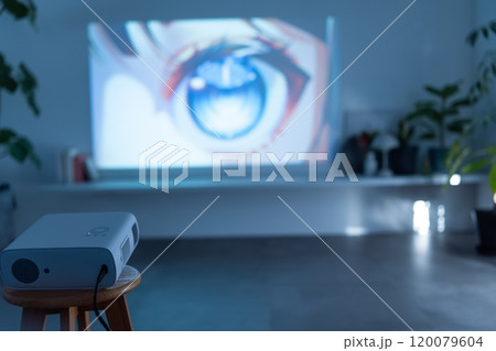 プロジェクターで投影 プロジェクターで投影 120079604