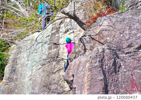 関東・湯河原梅林・ロッククライミングでも有名な、満開の梅林の幕山公園・神奈川県湯河原町(4) 120080437