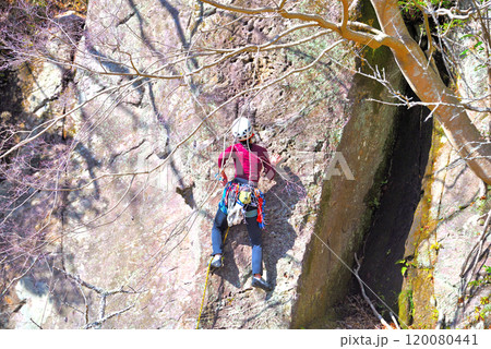 関東・湯河原梅林・ロッククライミングでも有名な、満開の梅林の幕山公園・神奈川県湯河原町(8) 120080441