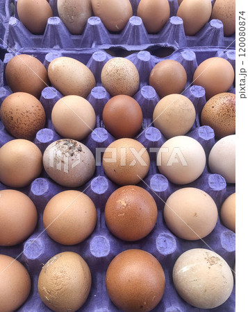 raw eggs in carton box 120080874