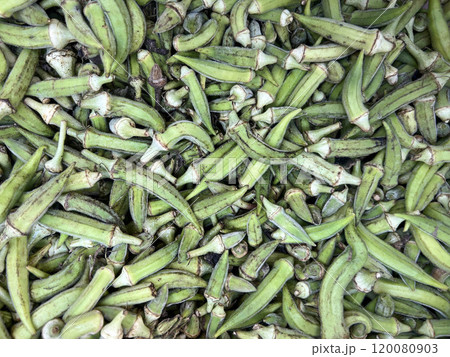 vegetable background with fresh raw okras vegetable background with fresh raw okras 120080903