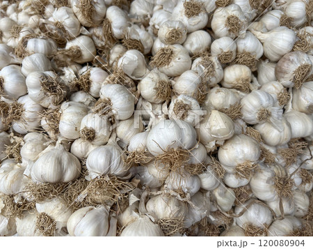 closeup background of garlic on market 120080904