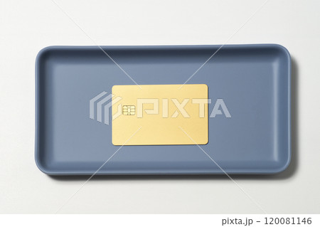クレジットカードで支払いのイメージ クレジットカードで支払いのイメージ 120081146