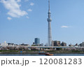 隅田川から望むスカイツリー 120081283