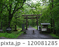 戸隠神社の鳥居 120081285