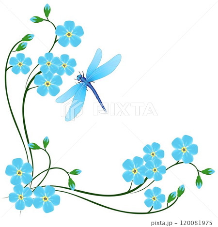 Corner with blue forget me not flowers and dragonfly on a white background. Corner with blue forget me not flowers and dragonfly on a white background. 120081975