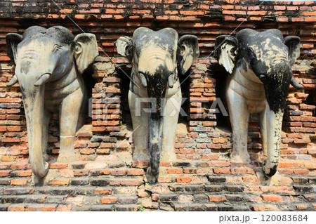 スコータイ歴史公園、東側、ワット・チャーン・ローム 120083684