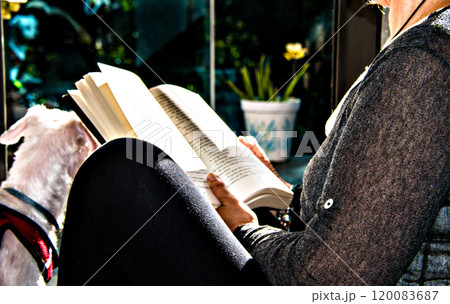 Blond woman with curly hair reading a book by the window Blond woman with curly hair reading a book by the window 120083687