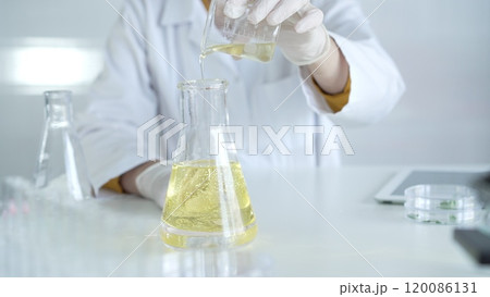 A scientist, wearing a lab coat and white protective gloves, is pouring a yellow oily liquid from one beaker to another in laboratory, close up. Medicine and science concept A scientist, wearing a lab coat and white protective gloves, is pouring a yellow oily liquid from one beaker to another in laboratory, close up. Medicine and science concept 120086131