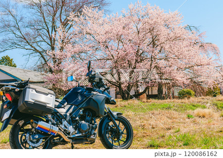桜が咲く古い日本家屋とオートバイ 桜が咲く古い日本家屋とオートバイ 120086162
