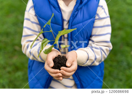 Boy child planting small sprout in garden on Earth Day taking care for environment 120086698