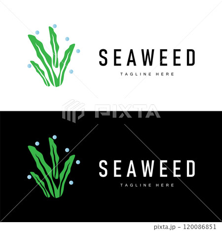 coral logo underwater seaweed plant simple template design marine decoration coral logo underwater seaweed plant simple template design marine decoration 120086851