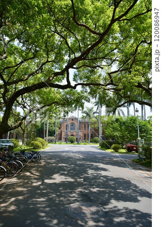 國立臺灣大學（台湾・台北市大安区）  120086947
