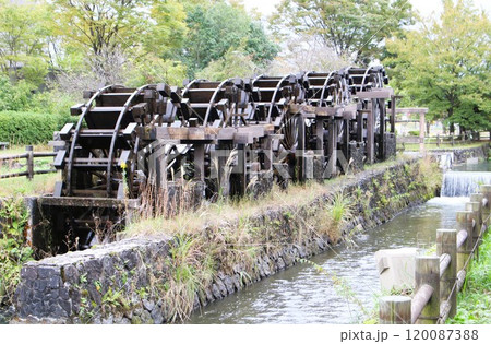 五連揚水水車 砺波 チューリップ公園 砺波市 富山県 五連揚水水車 砺波 チューリップ公園 砺波市 富山県 120087388