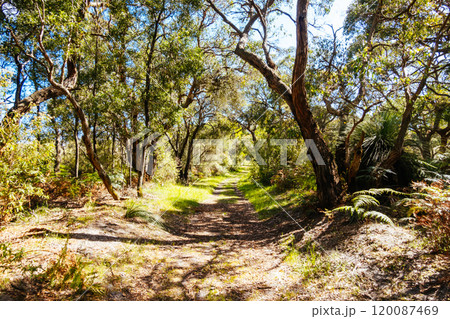 Long Point Circuit Walk in Australia 120087469