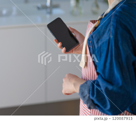 スマホを持つ主婦 スマホを持つ主婦 120087913