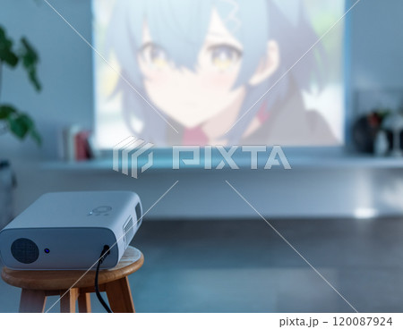 プロジェクターで投影 120087924