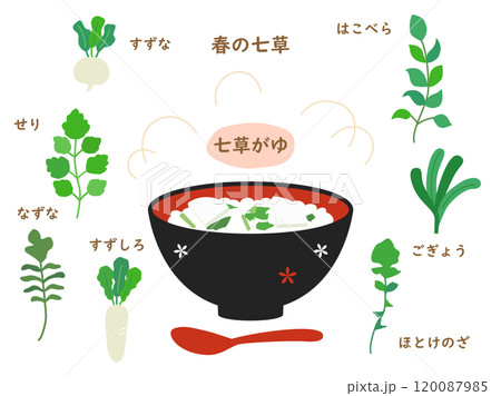 春の七草と七草粥のイラストのセット 春の七草と七草粥のイラストのセット 120087985