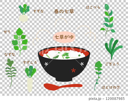 春の七草と七草粥のイラストのセット 春の七草と七草粥のイラストのセット 120087985