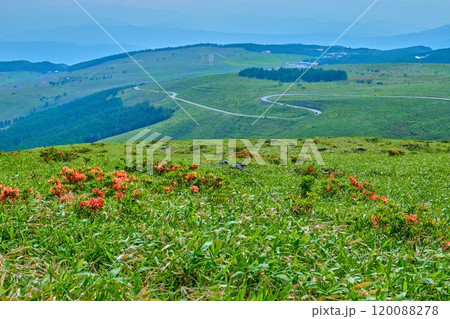 長野県諏訪市 霧ヶ峰(車山)の中腹から西側のビーナスライン方面を見る 長野県諏訪市 霧ヶ峰(車山)の中腹から西側のビーナスライン方面を見る 120088278