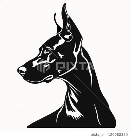 Silhouette Doberman dog isolated on background. Black and white pet portrait for design logo, print, icon Silhouette Doberman dog isolated on background. Black and white pet portrait for design logo, print, icon 120088350