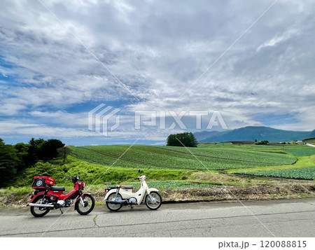 バイク旅で見る嬬恋村のカラマツの丘とキャベツ畑 バイク旅で見る嬬恋村のカラマツの丘とキャベツ畑 120088815