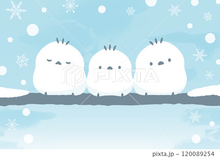 冬の雪景色とシマエナガのかわいい鳥手書きイラスト_1月・寒中見舞い・年賀状じまいなど 冬の雪景色とシマエナガのかわいい鳥手書きイラスト_1月・寒中見舞い・年賀状じまいなど 120089254