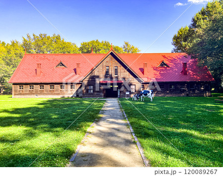 北海道大学第二農場牛舎　2024年9月 120089267