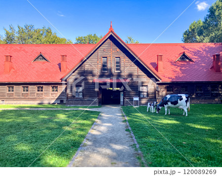 北海道大学第二農場牛舎　2024年9月 120089269