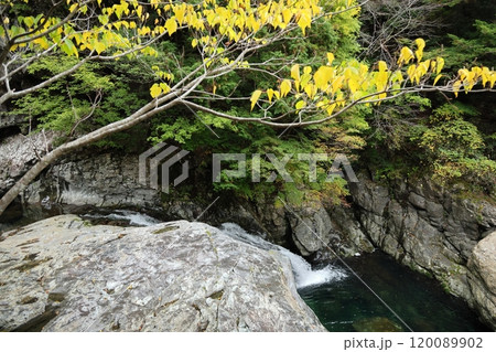 【奈良県天川村】みたらい渓谷ウォーキングコース 120089902