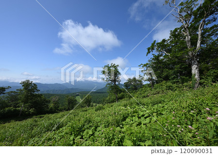 西吾妻山登山、福島県 120090031