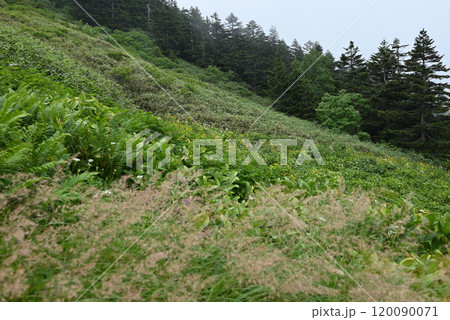 西吾妻山登山、福島県 120090071