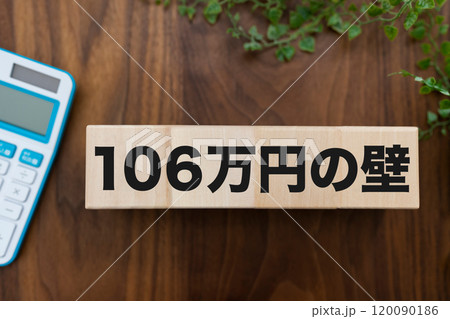 106万円の壁 120090186