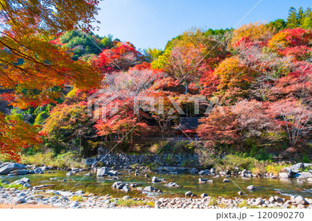 香嵐渓（秋） 120090270