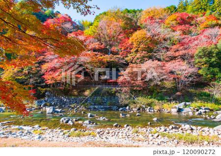 香嵐渓（秋） 120090272