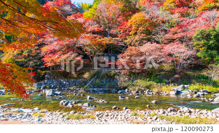 香嵐渓（秋） 120090273
