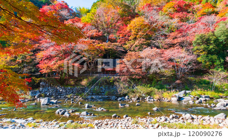 香嵐渓（秋） 120090276