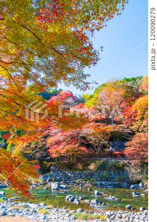 香嵐渓（秋） 120090279