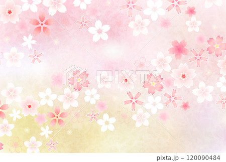 和柄　年賀状　桜　背景	 120090484