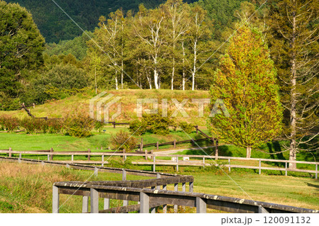 牧場の紅葉 120091132
