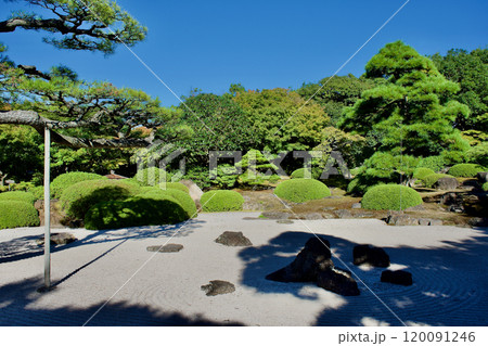 松と砂紋の日本庭園 120091246