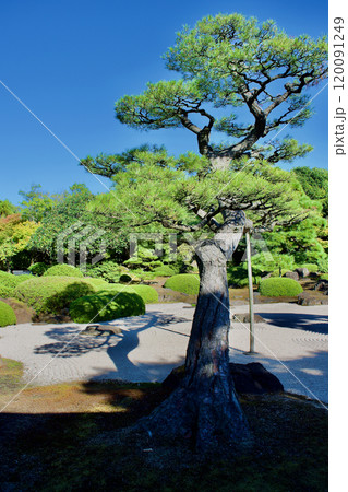松と砂紋の日本庭園 松と砂紋の日本庭園 120091249