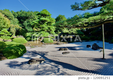 松と砂紋の日本庭園 120091251