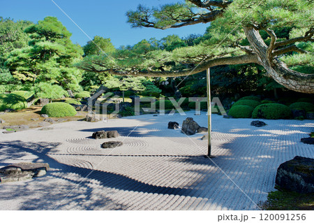 松と砂紋の日本庭園 120091256