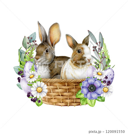 Cute bunny couple in a woven basket with floral decor on white background. Hand drawn vintage style watercolor illustration. Ideal for Easter themes, holiday cards, seasonal festive decor 120091550